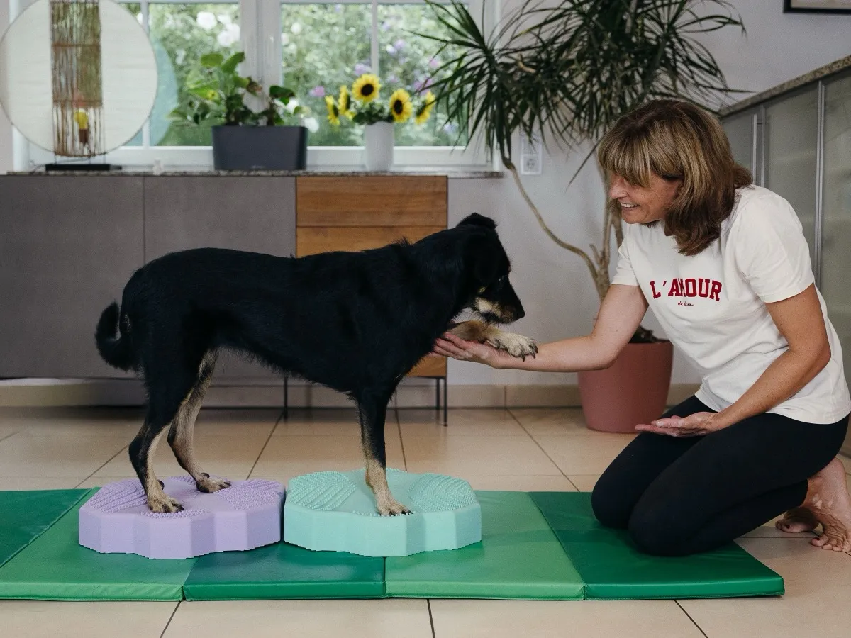 Tierphysiotherapie CanisVita