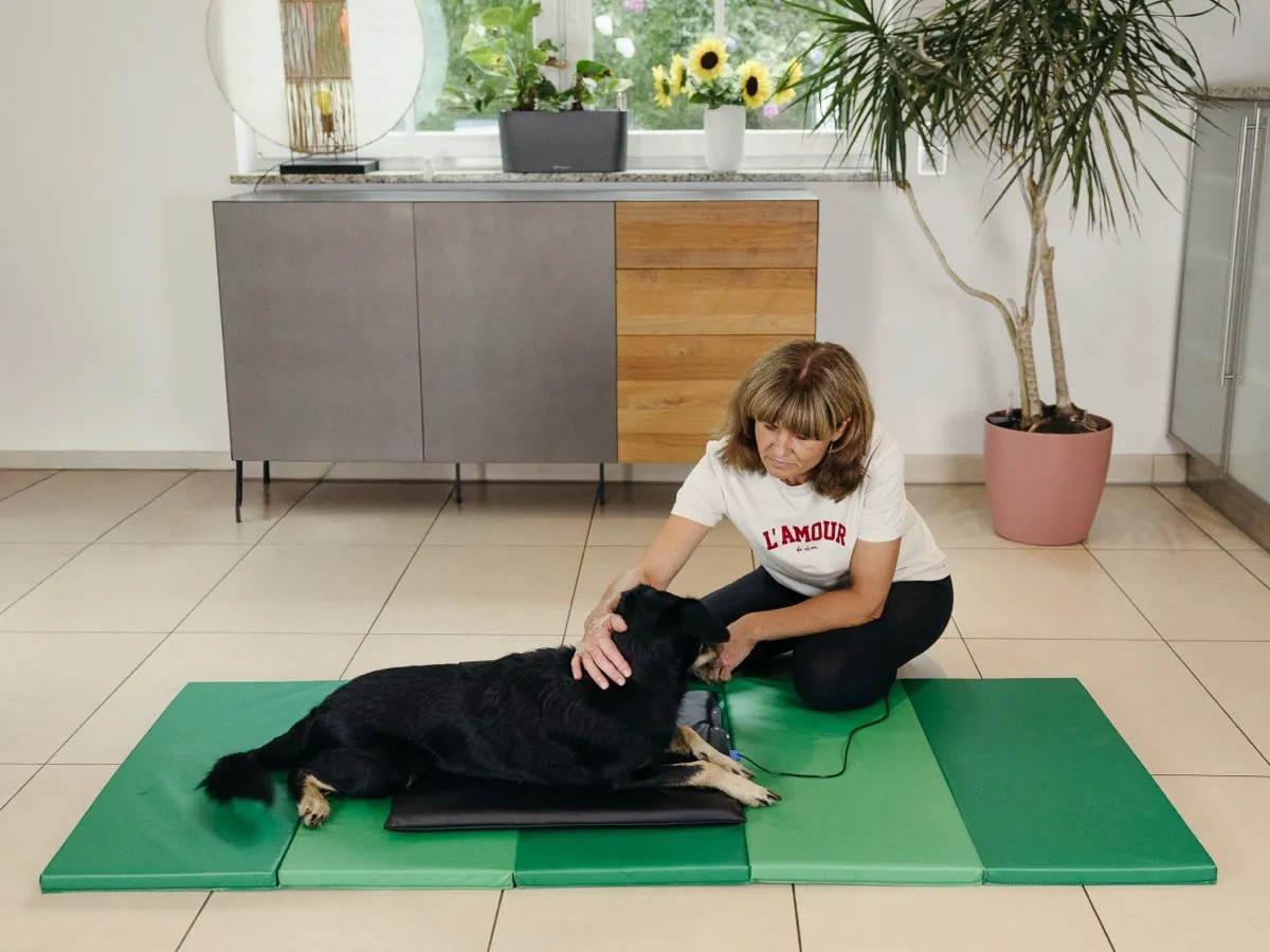 Tierphysiotherapie CanisVita